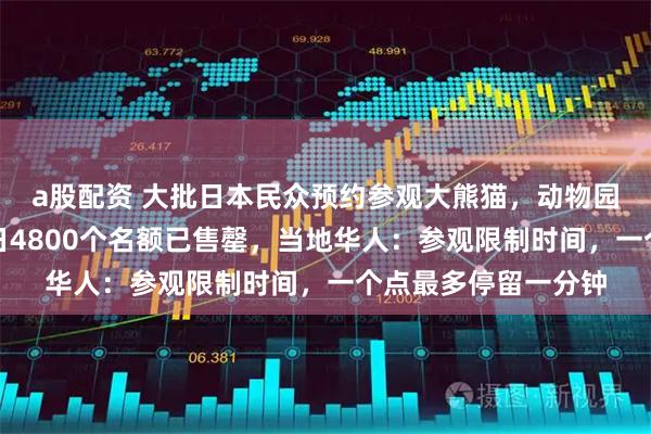 a股配资 大批日本民众预约参观大熊猫，动物园官网一度崩溃，首日4800个名额已售罄，当地华人：参观限制时间，一个点最多停留一分钟